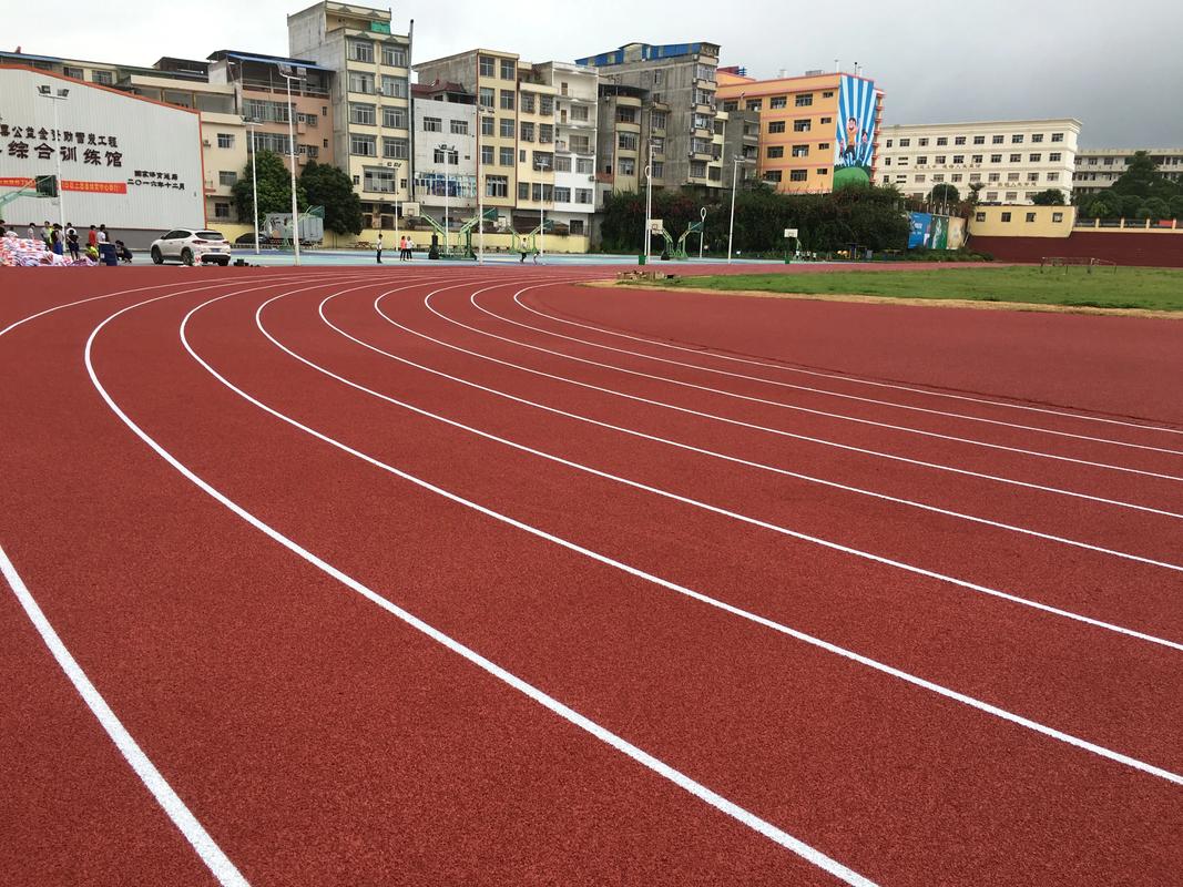 襄阳市EPDM颗粒塑胶跑道材料 - 方案